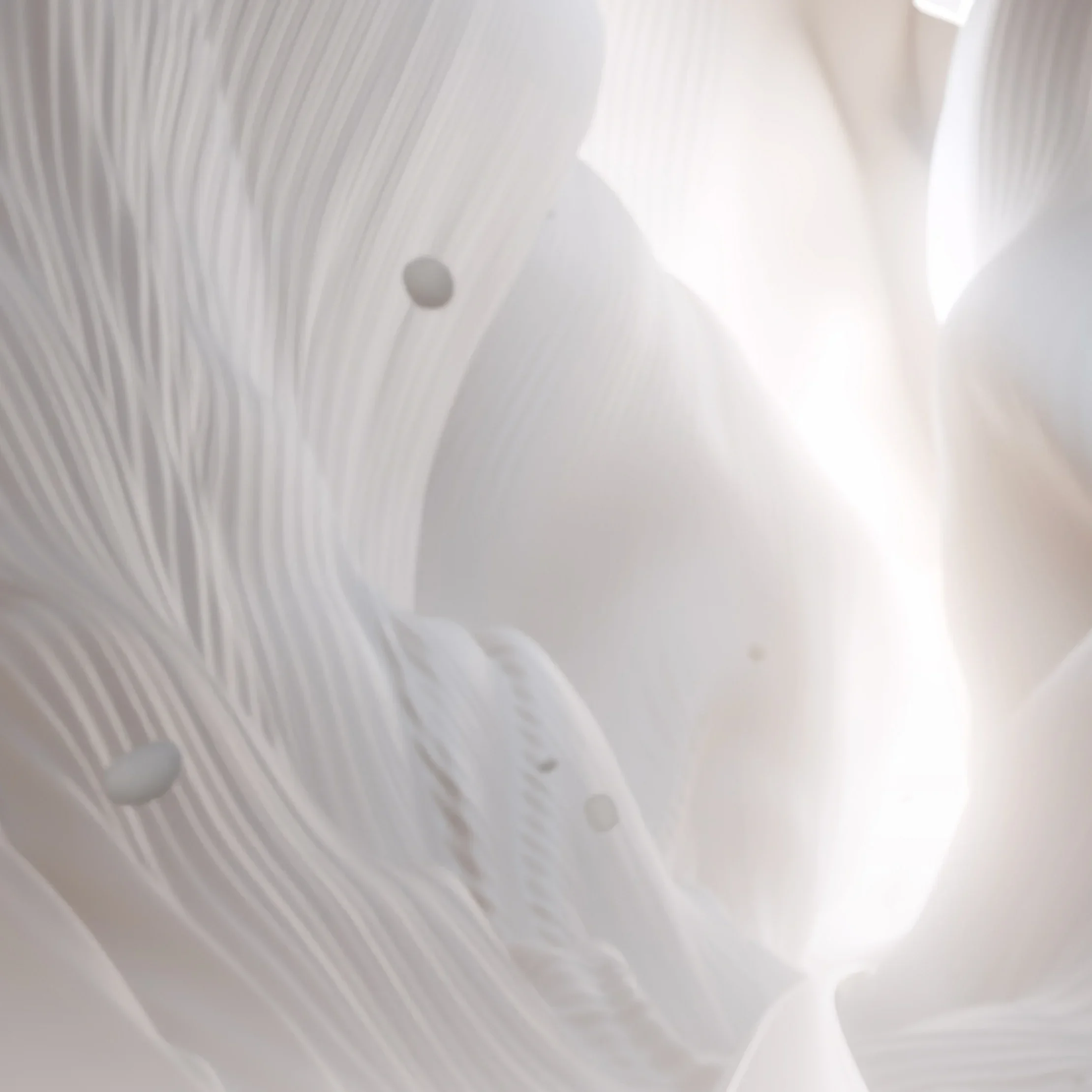 GOING BEYOND | Smoothening