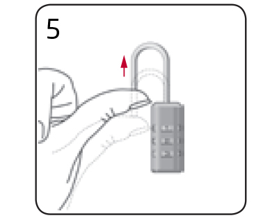 TSA Lock Instructions | Samsonite Australia